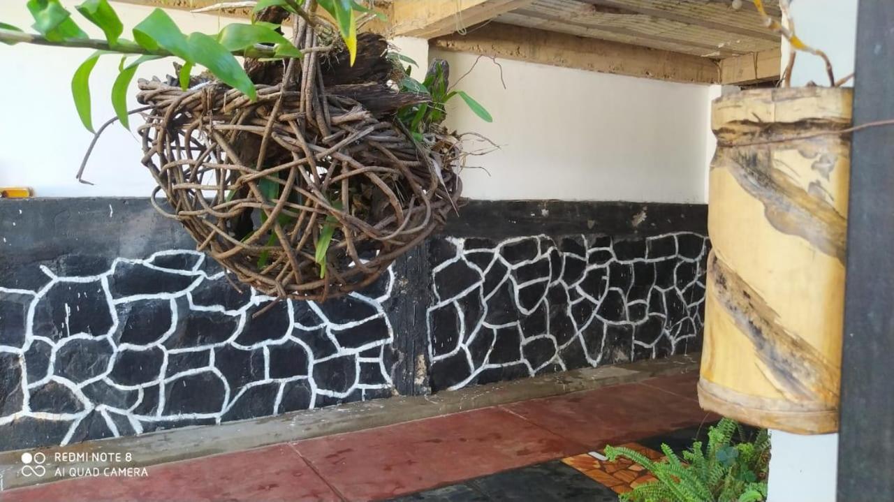 Diario En Apartamento Puerto Iguazú